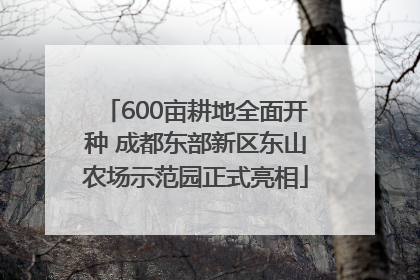600亩耕地全面开种 成都东部新区东山农场示范园正式亮相