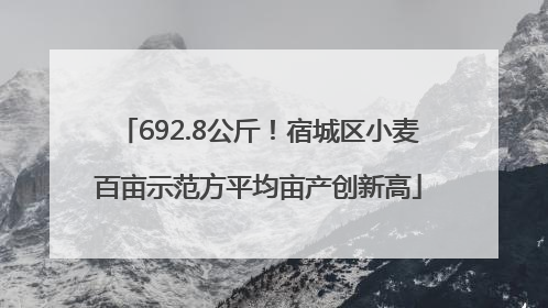 692.8公斤！宿城区小麦百亩示范方平均亩产创新高