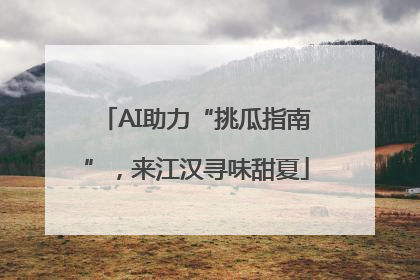 AI助力“挑瓜指南”，来江汉寻味甜夏