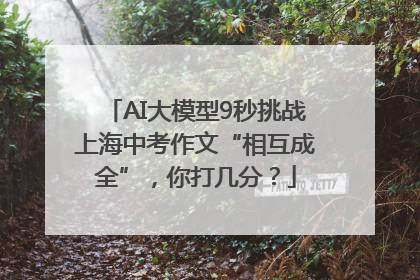 AI大模型9秒挑战上海中考作文“相互成全”，你打几分？