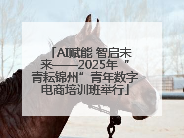 AI赋能 智启未来——2025年“青耘锦州”青年数字电商培训班举行