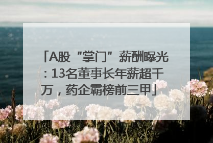 A股“掌门”薪酬曝光：13名董事长年薪超千万，药企霸榜前三甲