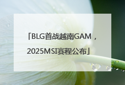 BLG首战越南GAM，2025MSI赛程公布