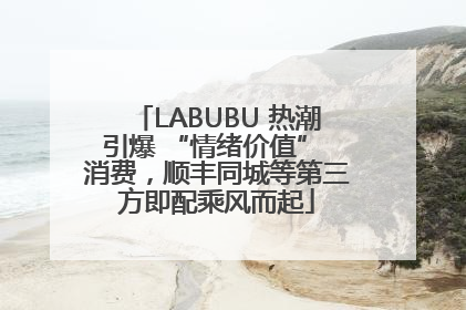 LABUBU 热潮引爆 “情绪价值” 消费，顺丰同城等第三方即配乘风而起